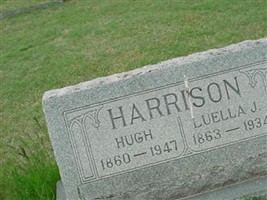 Luella J Harrison