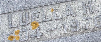 Luella Klaus Luella Klaus