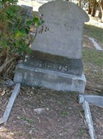 Luetta Fields