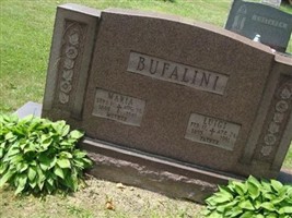 Luigi Bufalini Luigi Bufalini
