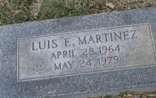 Luis E Martinez