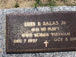 Luis E. Salas, Jr