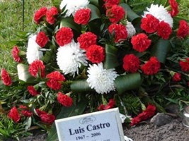 Luis M. Castro Luis M. Castro
