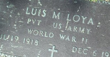 Luis M. Loya Luis M. Loya