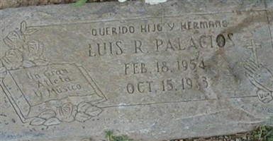 Luis R. Palacios
