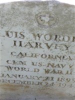 Luis W Harvey