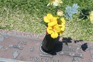 Luisa D. Trevino Luisa D. Trevino