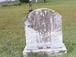 Luisa Destimona Forsythe