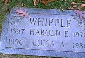 Luisa M Andre Whipple Luisa M Andre Whipple