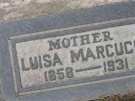 Luisa Marcucci Luisa Marcucci