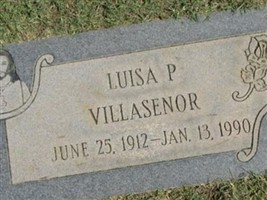 Luisa Pimental Villasenor Luisa Pimental Villasenor