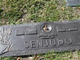 Luisa S Senjudo