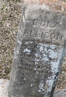 Lula Allison Lula Allison
