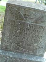 Lula Drewry Tarpley