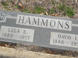 Lula Emily Matheson Hammons