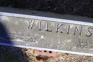 Lula Wood Wilkins Lula Wood Wilkins