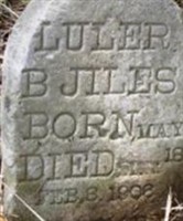 Luler B. Jiles