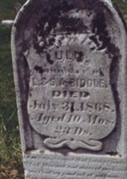 Lulu Biddle Lulu Biddle