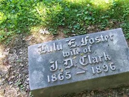 Lulu E. Foster Clark Lulu E. Foster Clark