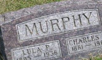 Lulu P Murphy