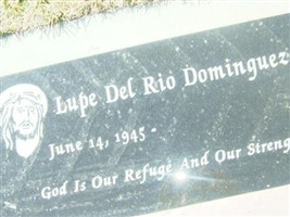 Lupe Del Rio Dominguez