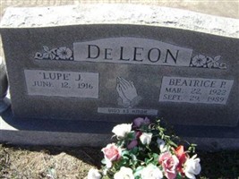 Lupe J. DeLeon Lupe J. DeLeon