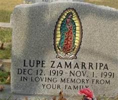 Lupe Zamarripa