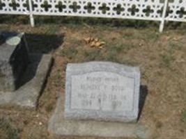 Lurline P. Boyd Lurline P. Boyd