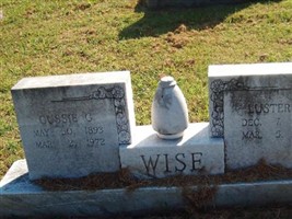 Luster A. Wise