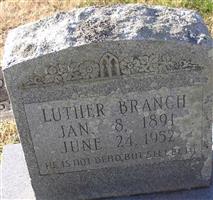 Luther Jones Branch (2404500.jpg)