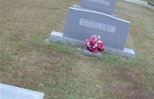 Luther Pope Goolsby, Jr