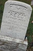 Luther Reed