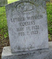 Luther Wayman Collins