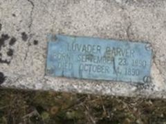 Luvader Carver Luvader Carver