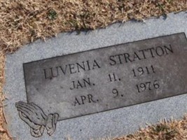 Luvenia Stratton Luvenia Stratton