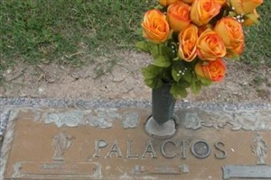 Luz G. Palacios Luz G. Palacios