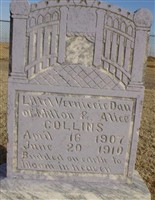 L. V. Collins L. V. Collins