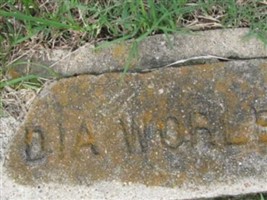 Lydia Daugherty Worley