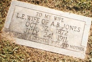Lydia Eliza Dille Deemer Jones