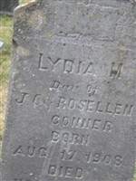 Lydia M Conner