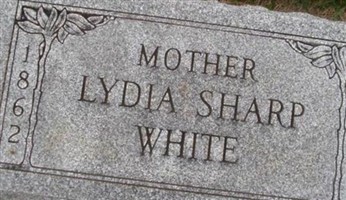 Lydia Sharp White Lydia Sharp White