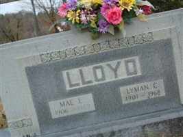 Lyman C Lloyd