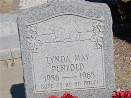 Lynda May Penfold Lynda May Penfold