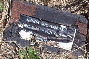 Lynda Sue Handley Lynda Sue Handley