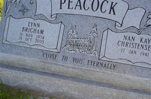 Lynn Brigham Peacock