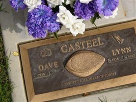 Lynn Casteel