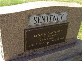 Lynn M Senteney