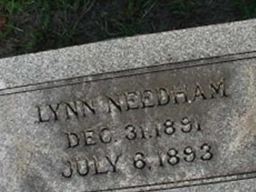 Lynn Needham Lynn Needham