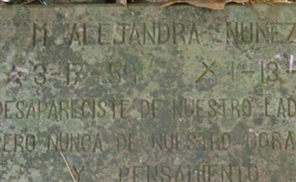 M Alejandra Nunez