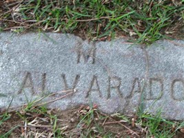 M. Alvarado